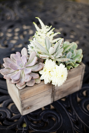 Succulents in Wooden Box Table Decor