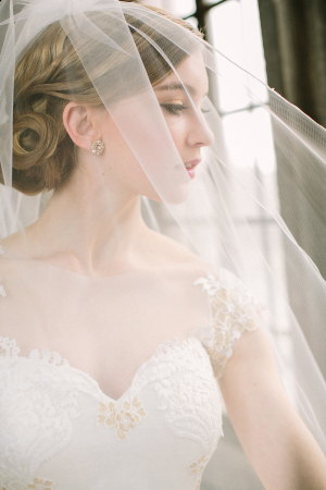 Sheer Cathedral Length Veil