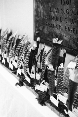 Feather Escort Cards