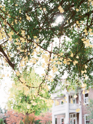 Ginkgo and Thistle Wedding Inspiration 10