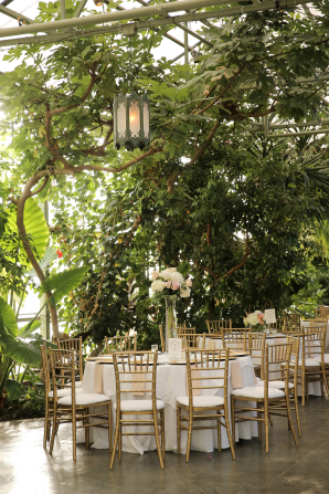 Trees and Lanterns Surrounding Wedding Reception